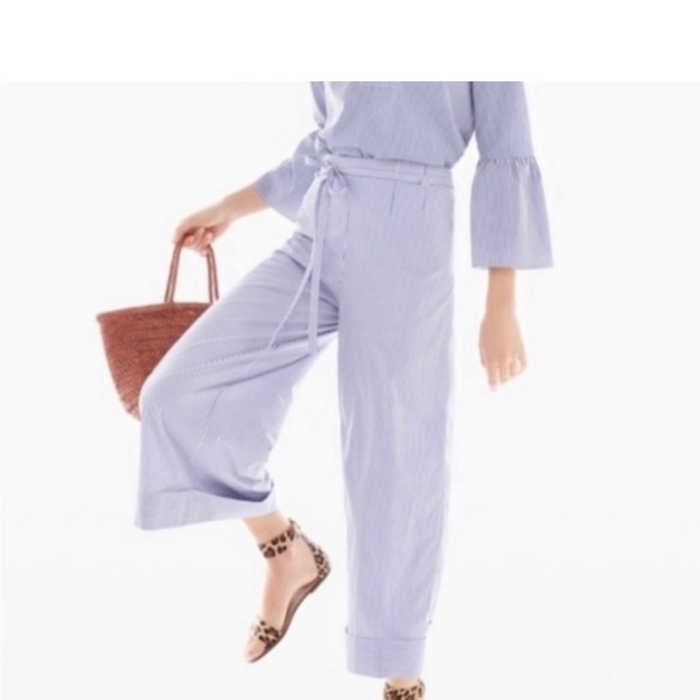 J Crew Navy and White Striped Pants